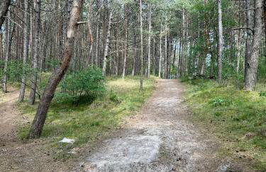 Czarna Perła - Foto 27