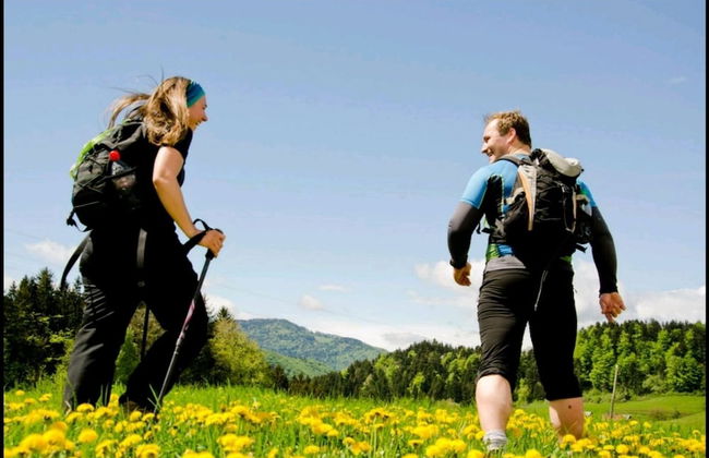 Apartmaji Koželj - Foto 19