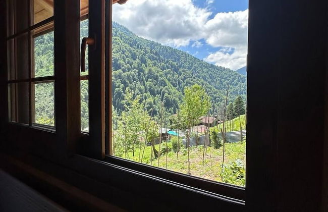 Ayder Yardımcı Apart - Foto 13