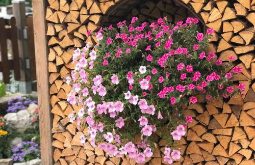 Appartamento al Tabià Pizal - Photo 19