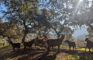 Finca Bravo - Foto 76