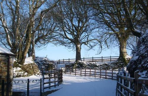 Fentrigan Manor Farm & Holiday Cottages - Foto 12