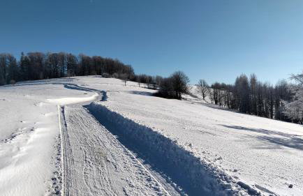 Domek Cichy Zakątek Beskid Niski - Foto 38