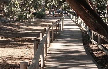 Bonito Apartamento 150 m de la playa La Mata - Foto 45