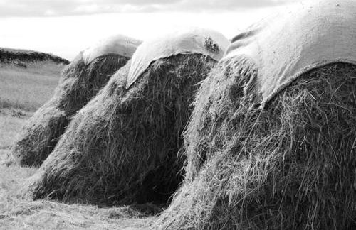 Ornum Self Catering Cottage - Foto 13