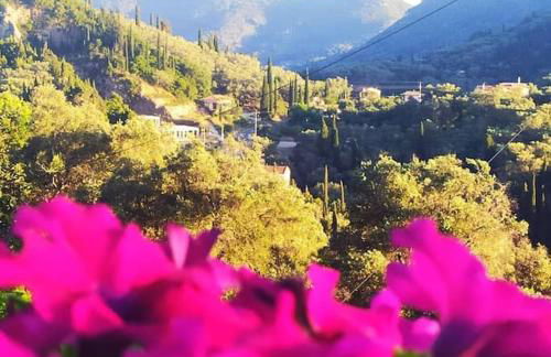 Stella Rossa - Foto 71