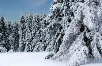 Haus am Oberen Eschenbacher Teich - Foto 35