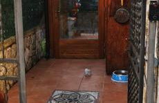 Casa vacanze Il Rifugio Alpino - Foto 8