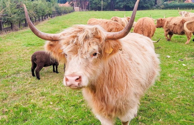 Hay's Wood Retreat - Foto 51