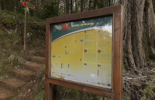 Plateau House - Foto 10