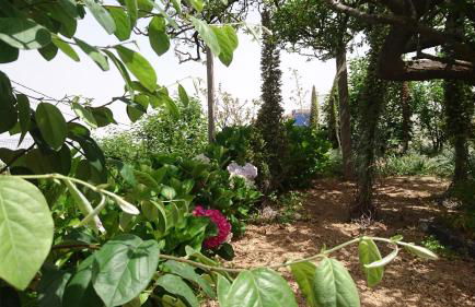 El pajar de Inés - Foto 19