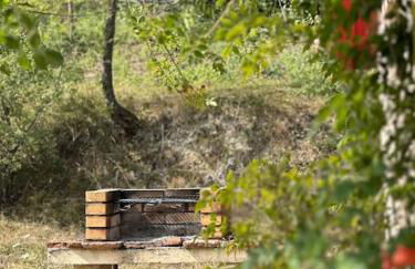 Gîte 8 personnes dans un écrin de verdure avec vue - Foto 17