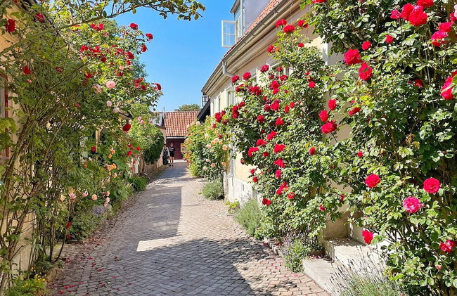 4 Star Holiday Home in Klintehamn - Foto 19