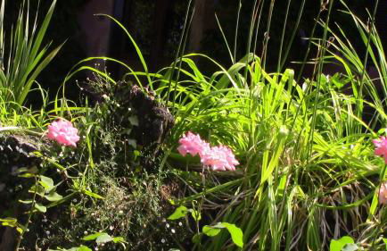 Casa della Gioia - Foto 54