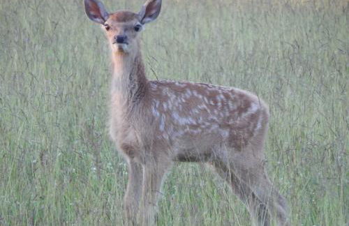 Zur-kleinen-Auszeit - Foto 21