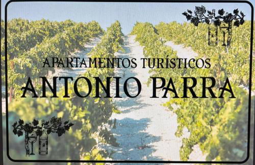 Apartamentos Turísticos Antonio Parra - Foto 58