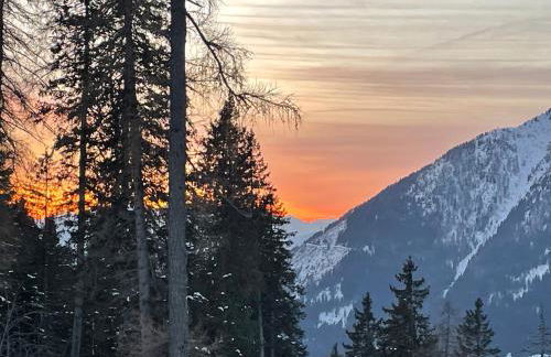 Maso Giulia - Foto 45