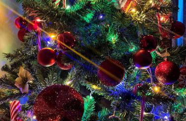 Lime Tree Cottage - Foto 64