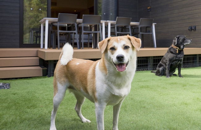 Rakuten STAY VILLA Nikko - Photo 48