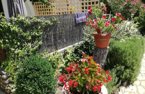 Apartments Barbara - Photo 53