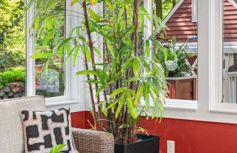 Frogmore Cottage 17 - Foto 30