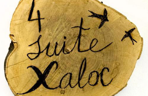 Hort de les Oronetes - Foto 48