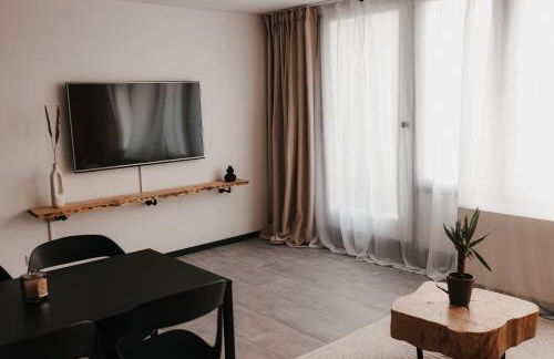 Schwarzwald Apartment - Foto 7