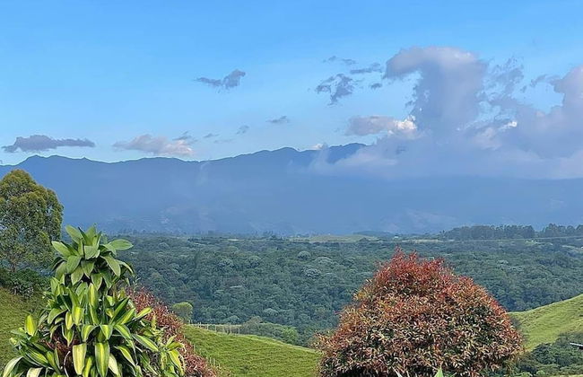 Nalú Hammam Thalassoterapia - Foto 36