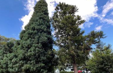 Centro! Duplex familiar. - Foto 31