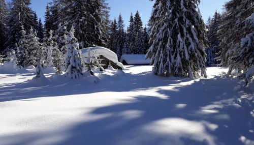 Appartamento Mariuccia - Foto 4