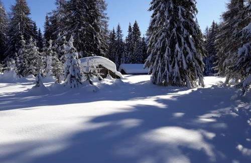 Appartamento Mariuccia - Photo 4