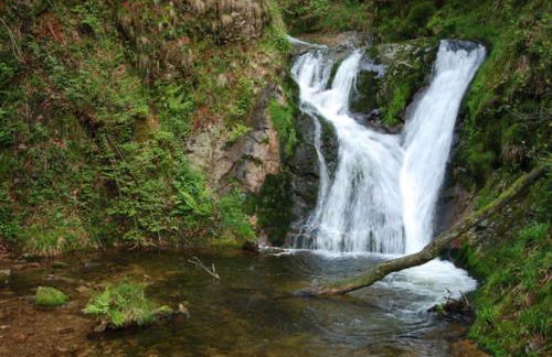 Ferienwohnung Huber - Foto 5