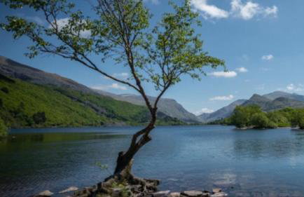 River bank apartment - Photo 17