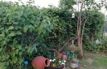 Peaceful cottage with incredible panoramic view - Foto 45