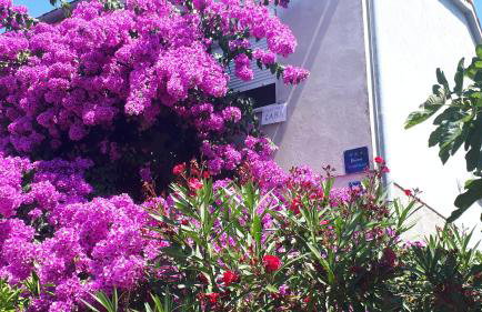 Apartment Lara - Foto 22