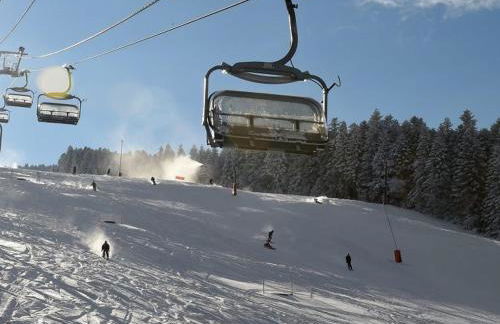 Gîte confortable pour 6 près des pistes, animaux admis - FR-1-496-138 - Foto 14