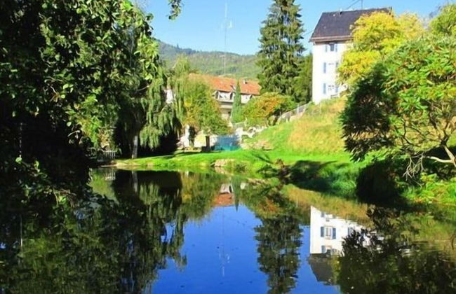 Appartements Maison Bellevue - Photo 36