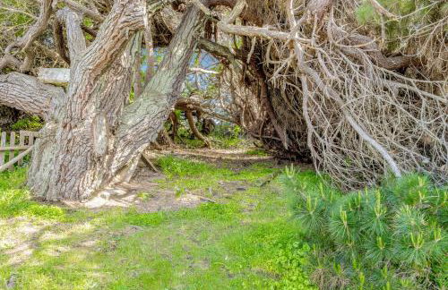 Seaside Cottage - Foto 25