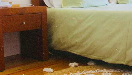 Gerês - Casa da Cabana - Foto 4