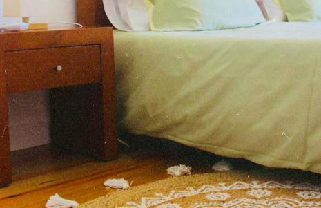 Gerês - Casa da Cabana - Foto 4