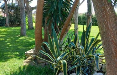 Blu Vacanze Apartments - Foto 6