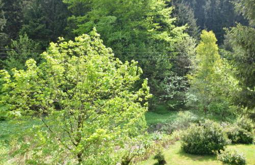 Rustic Black Forest Getaway - Foto 56