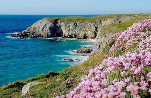 Maison proche du Phare de Trézien vue mer - Foto 21