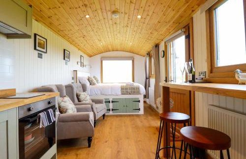 Defaid Cymreig - Foto 9