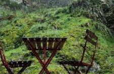 Moinho das fragas - Foto 41