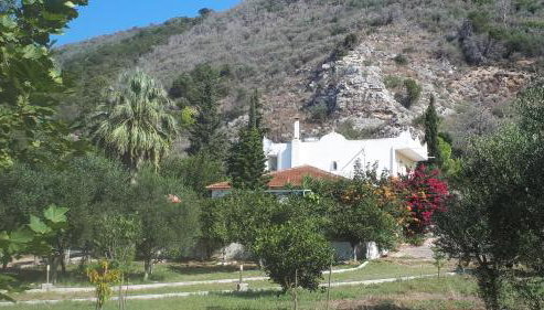 Villa Dunes 350m from the sandy beach - Foto 3