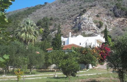 Villa Dunes 350m from the sandy beach - Foto 3