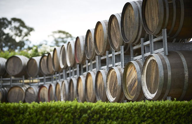 Wandin Valley Estate - Photo 36