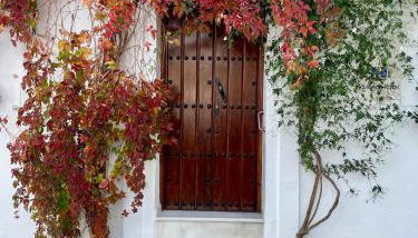 CUEVAS del PEÑÓN - Photo 1