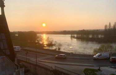 Vue incroyable Loire et Chateau - Foto 18